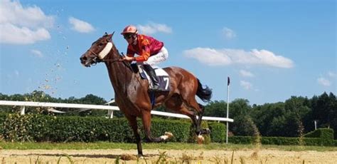 le journal de jackturf|BRUITS D'ECURIES OU CHEVAL DU JOUR .